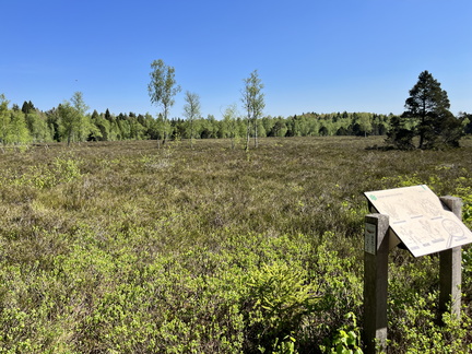 23-05-27 10-44-05 5719